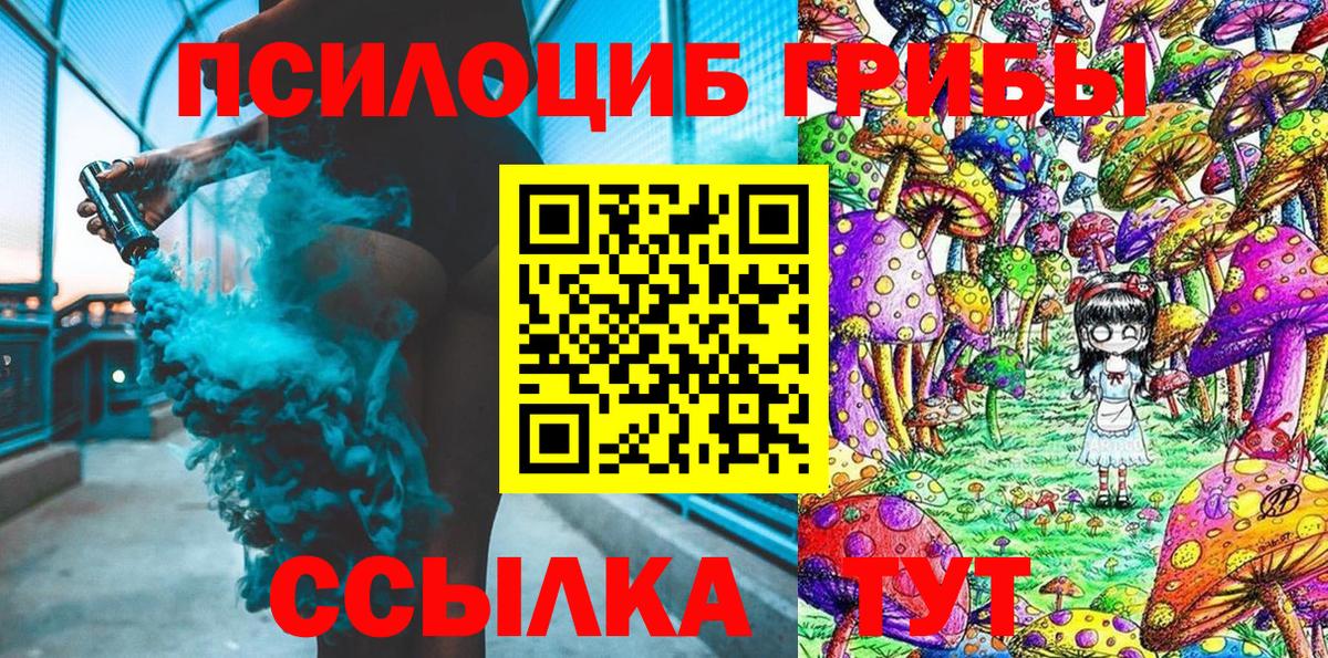 Галлюциногенные грибы Psilocybine cubensis  где купить   Кандалакша  Вход с VPN 